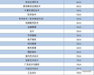 湖南省单招计算机与软件类专业院校报考指南及数字广告制作方向推荐